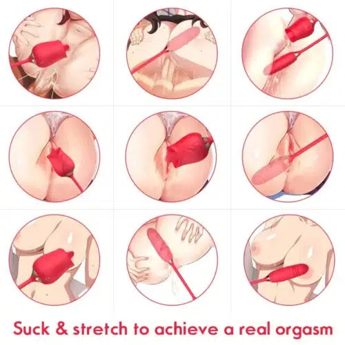 3 em 1 Au-Rose-Licking Rose Toy com Dildo Como usar o vibrador Adulto Luxo