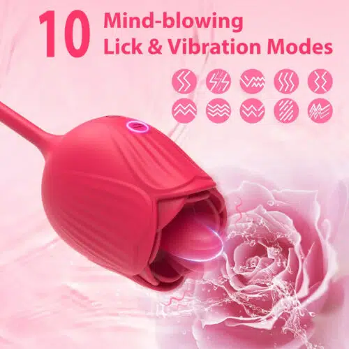 3 em 1 Au-Rose-Licking Rose Toy com Dildo 10 modos diferentes Adulto Luxo