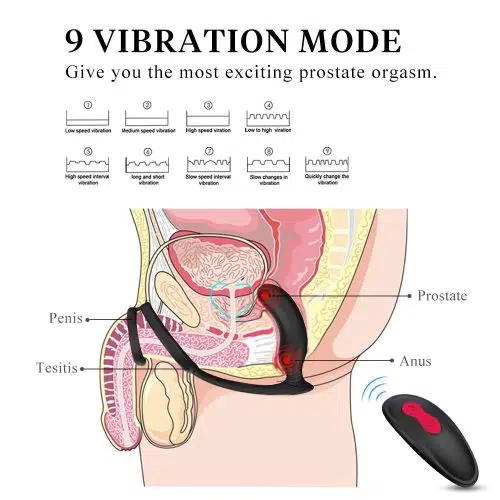 Fantasia 3 em 1 Controle Remoto Massageador de Próstata Adulto Luxo