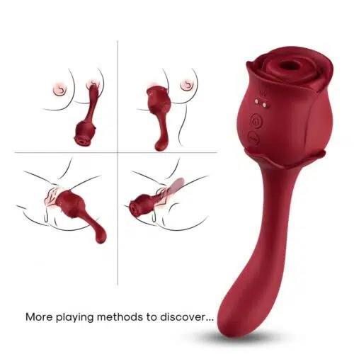 BIO AIR LAROSE PRO 3 Vibrator Adult Luxury